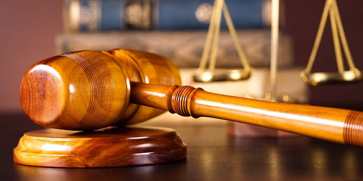 Coco Ruggeri Italian-American attorney reviewing citizenship documents